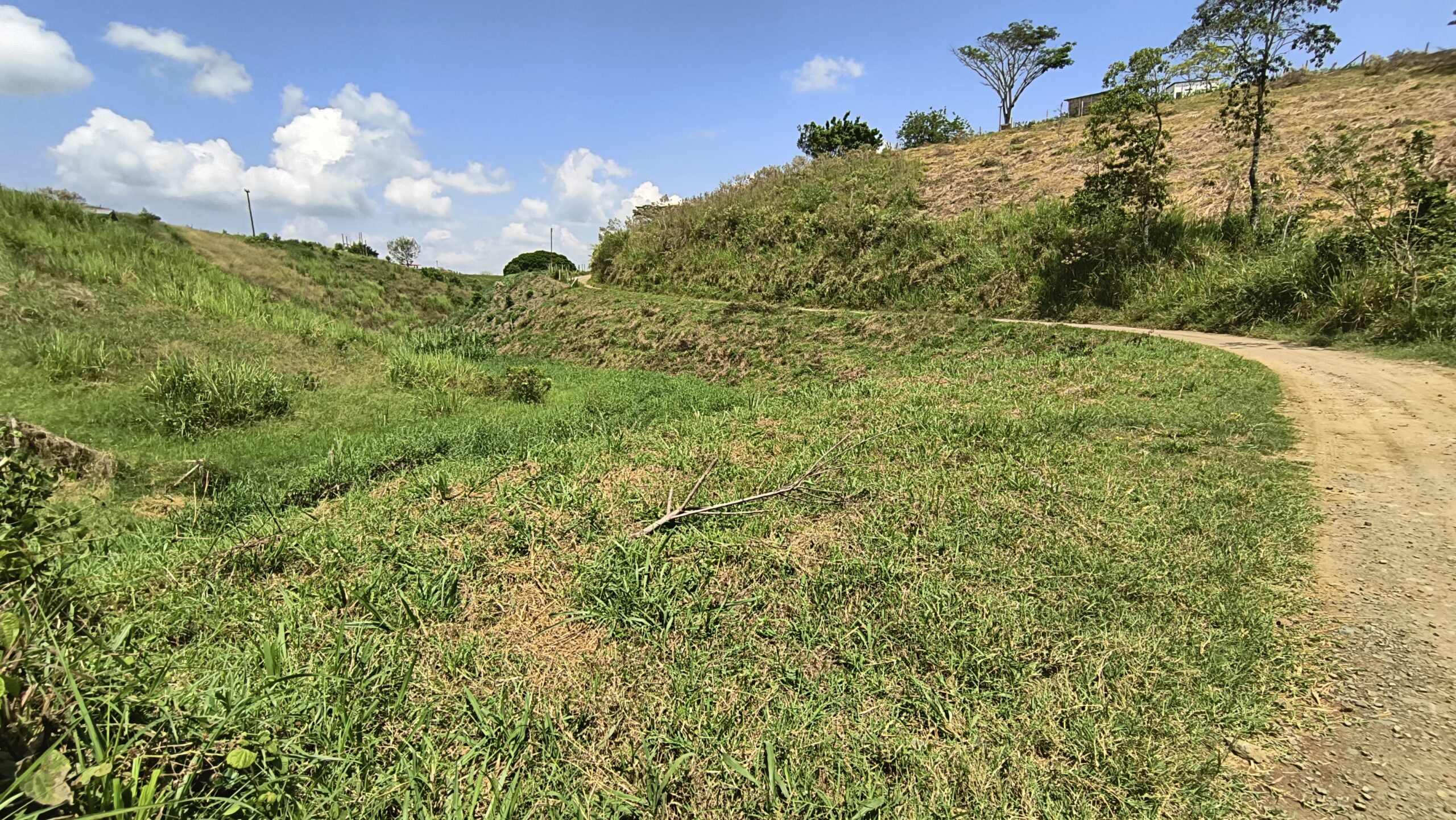 IMG_20240310_110840270_HDR