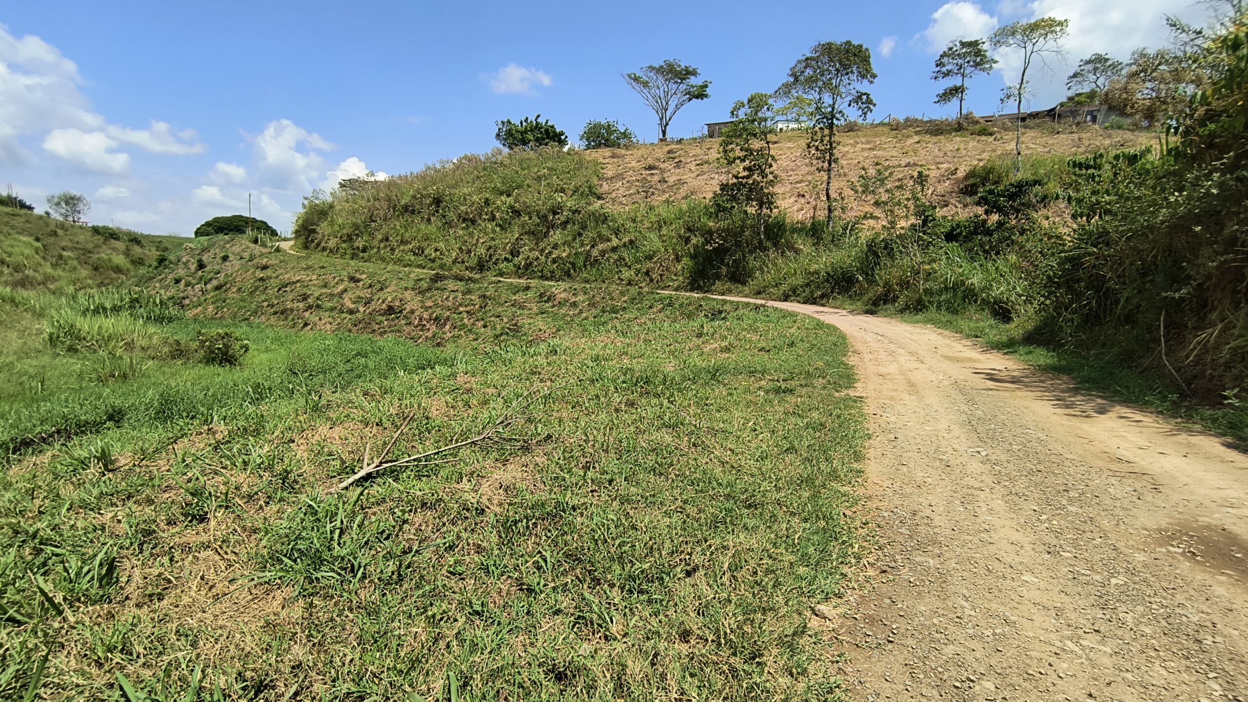 IMG_20240310_110842212