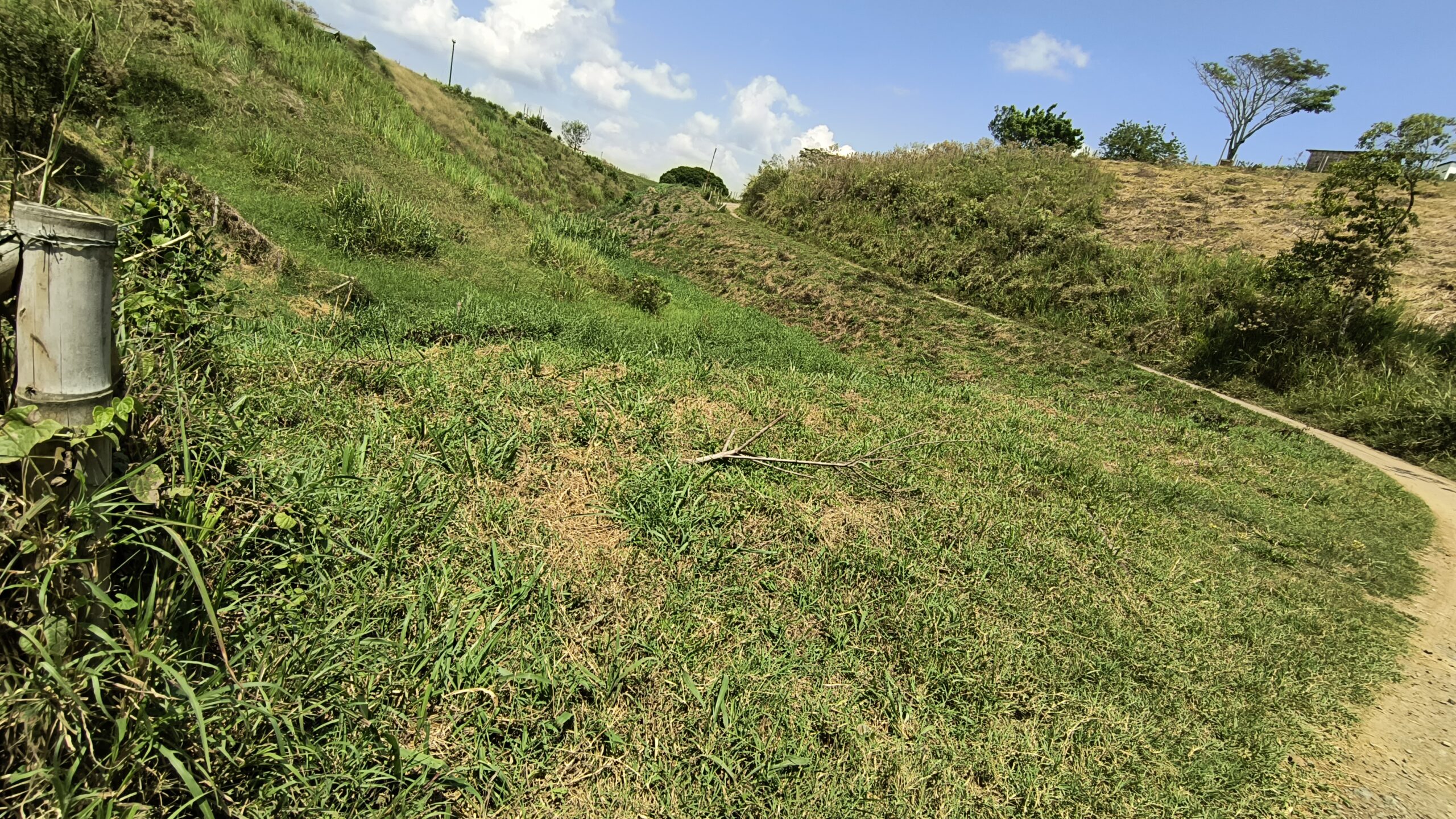 IMG_20240310_110848960